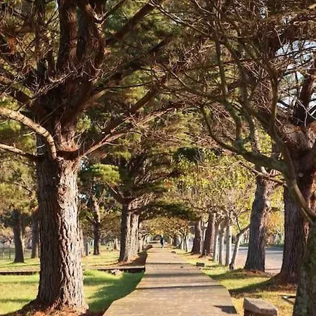 Centro Apartamento *